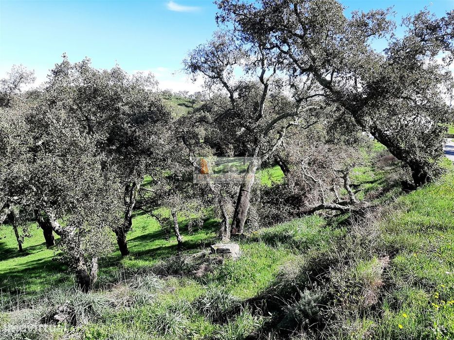 Terreno Rústico  Venda em São Barnabé,Almodôvar