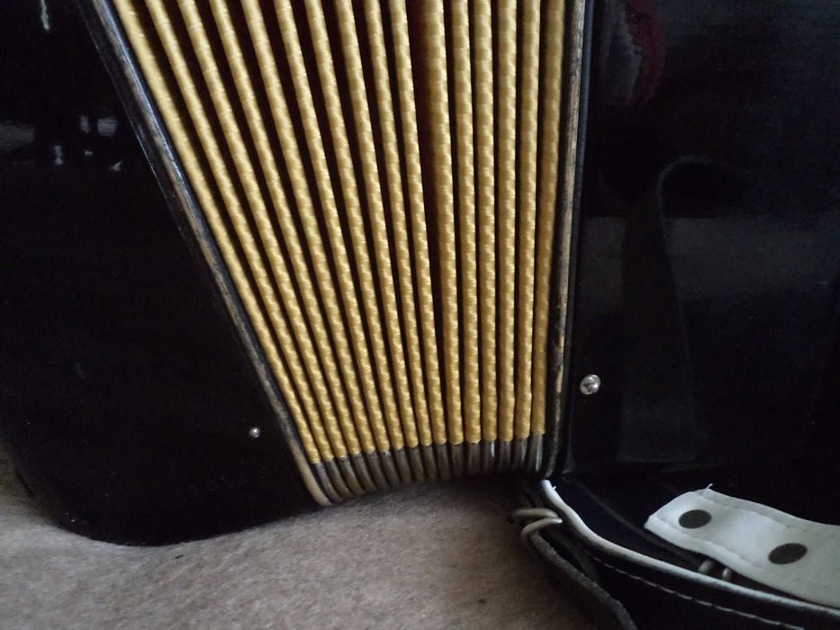 Akordeon Hohner II M