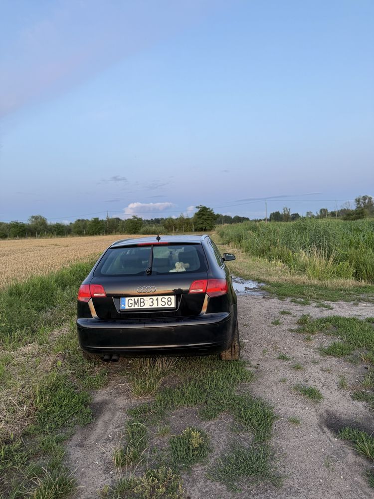 Audi A3 8P 1.9 TDI – 2006 r. – Zadbane, 5-drzwiowe, bogate wyposażenie