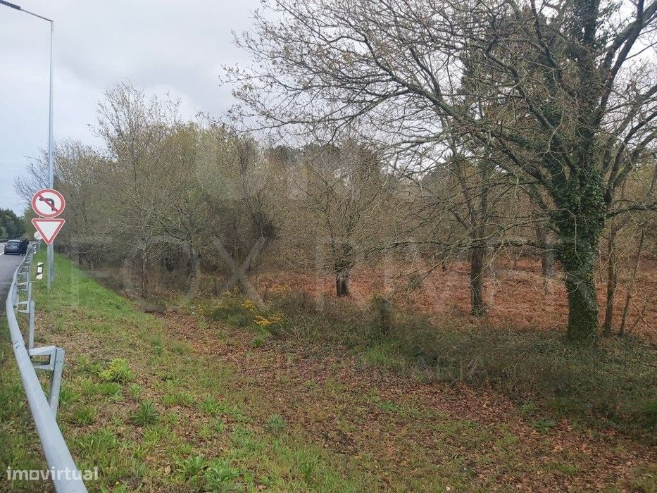 Lote Terreno Construção - Industrial - Mazarefes
