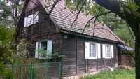 Drewniany dom pod Łęczycą na 3 hektarach