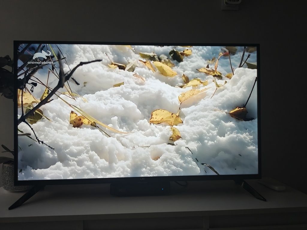 Telewizor LED LIN 40 FHD1200 jeszcze z roczną gwarancją