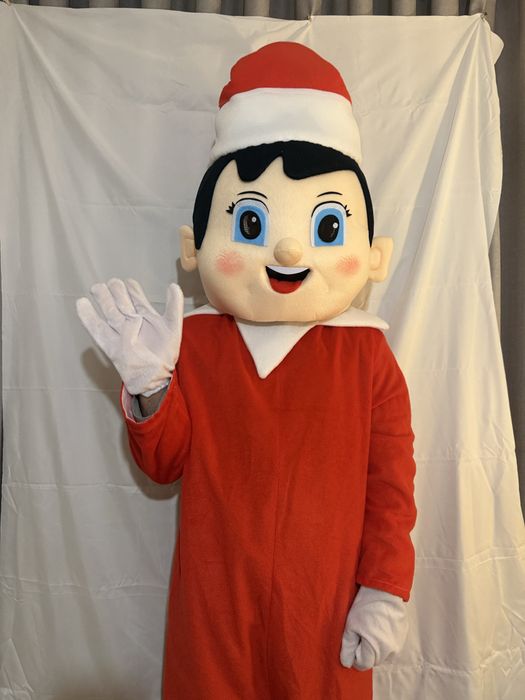 Mascote stitch/ bluey/ panda / olaf / mickey e minnie / elfo64683975279361121