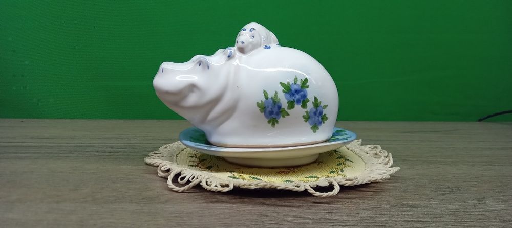 Масленка бегемот