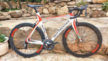Bottecchia carbono Edição Profissional T51