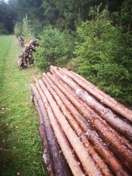 Drewno opałowe sosnowe - suche