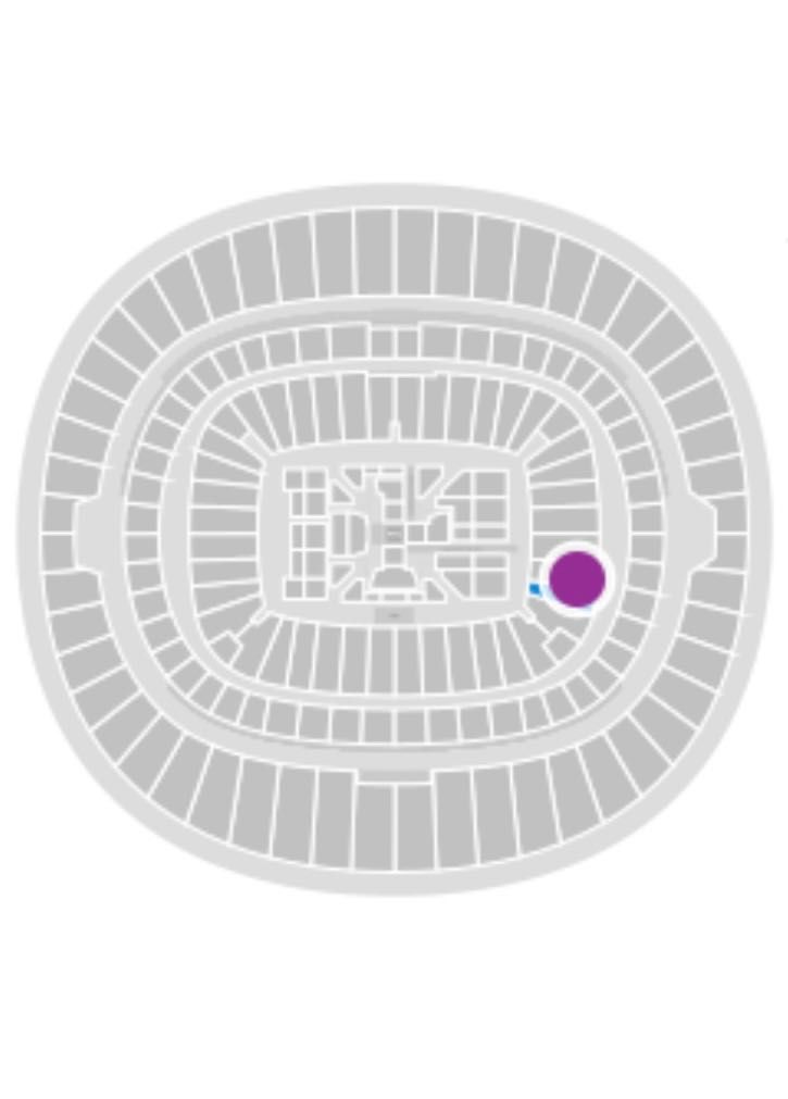 Usyk - Dubois tickets, квиток на бій Усик - Дюбуа