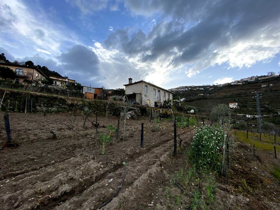 Casa rural em Lamego VENDA