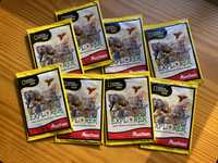 Saquetas National Geographic Kids do Auchan (Wildlife Explorer)