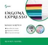 Servico profissional de engomadoria