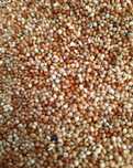Proso mix 15 kg pokarm dla papug