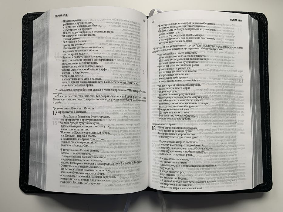 Библия на русском. Совр. пер. Кожа. Серебряный срез. Размер 15,5х23cm