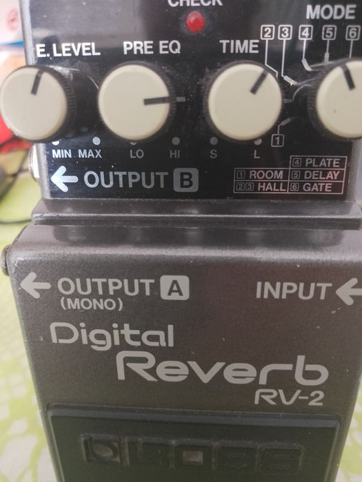 Rv-2 Boss delay plate gate