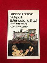 Trabalho escravo e capital estrangeiro no Brasil – Douglas Cole Libby