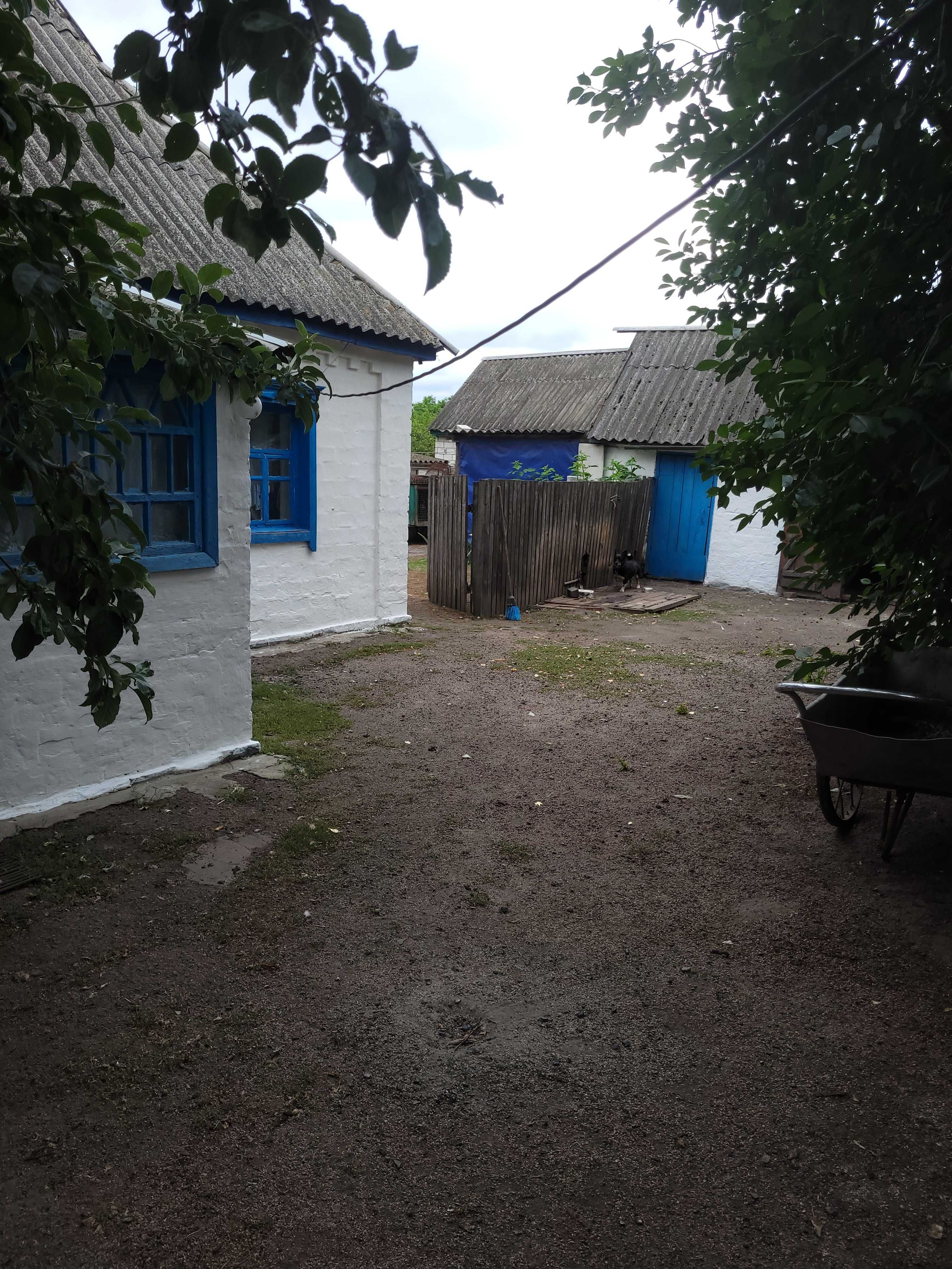 Продам дворище з 2-а будинками, госп. будівлями та земельною ділянкою