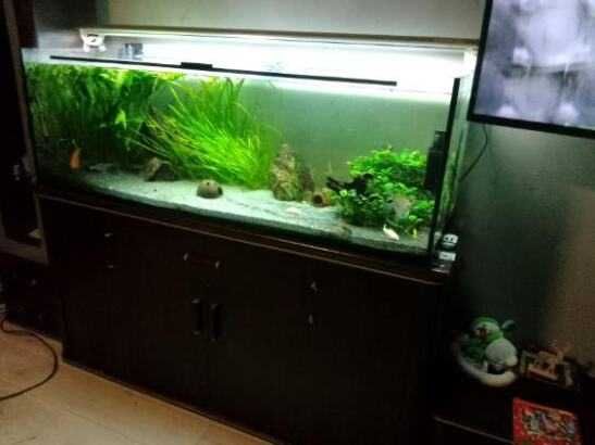 Akwarium 400l zestaw