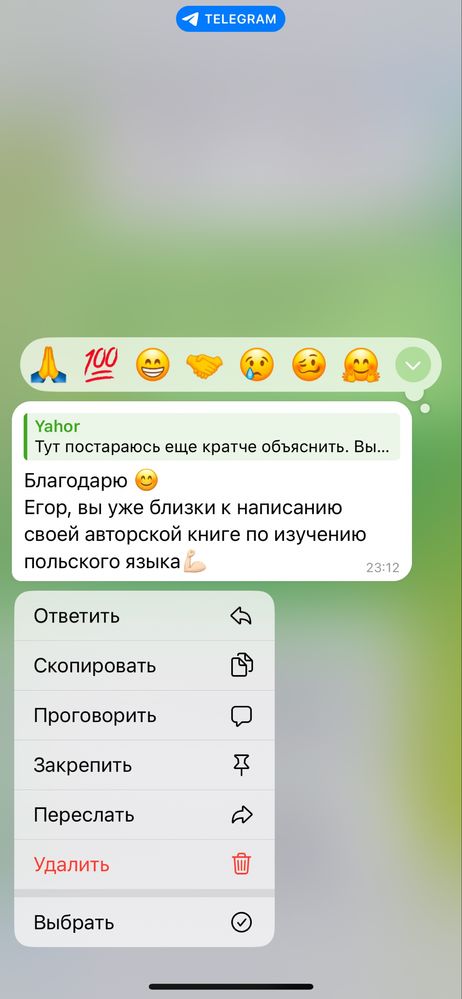 Репетитор польского языка без учебников