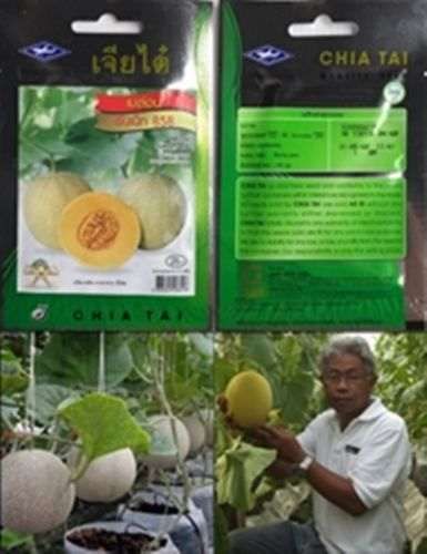 Nasiona melonów z Indii King Sunnet do gruntu Melon sadzonki arbuzów