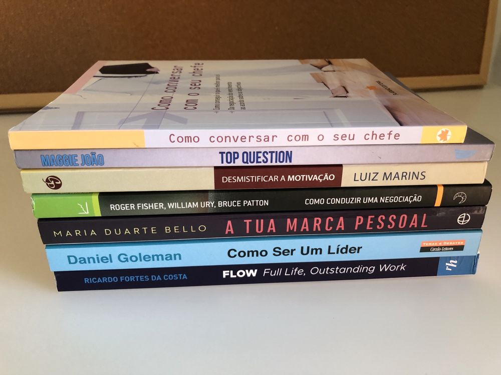 Lote de 7 livros de gestão em português