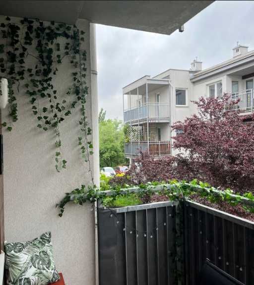 плющь штучний гірлянда лоза штучна зелень ліана декоративна