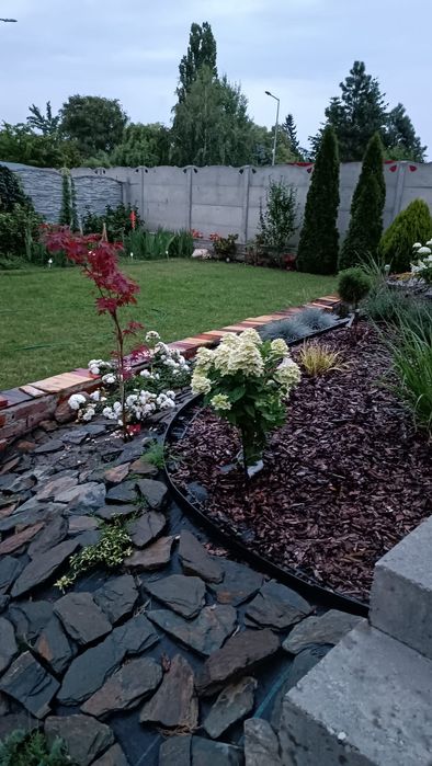 Projektowanie ogrodu