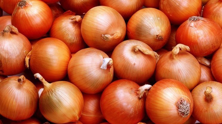 Продам гарну цибулю
