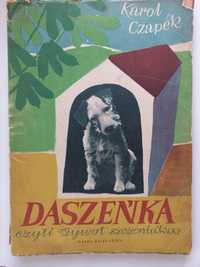 Książka PRL Daszeńka - Karol Czapek 1953 rok