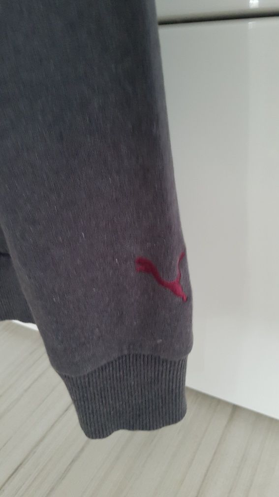 Bluza  Puma Unisex