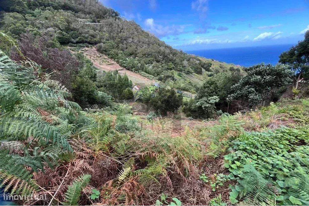 Terreno de 2090m2 no Faial: Oportunidade para Glamping ou Agroturismo