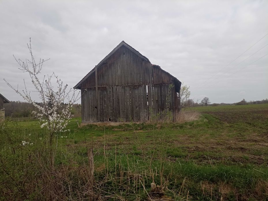Rozbiórki stodół drewnianych. Stodoła. Rozbiórka.
