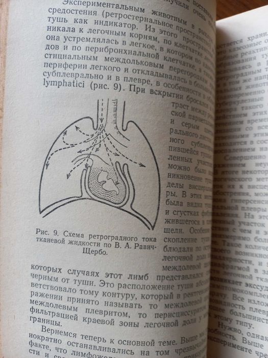 Равич-Щербо, В.А.,  Туберкулез легких у взрослых