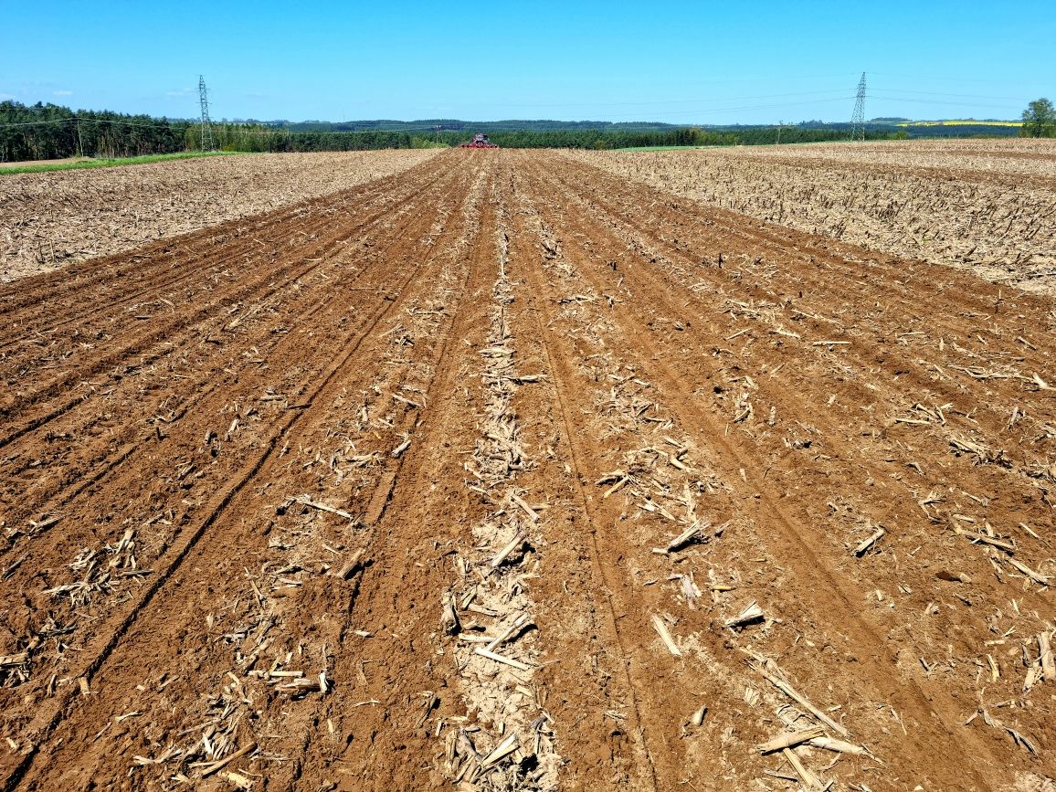 Siew w technologii strip till rzepak ,zboża,burak, Kukurydza