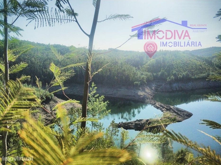 Terreno Florestal com 29000m2 - Alvares