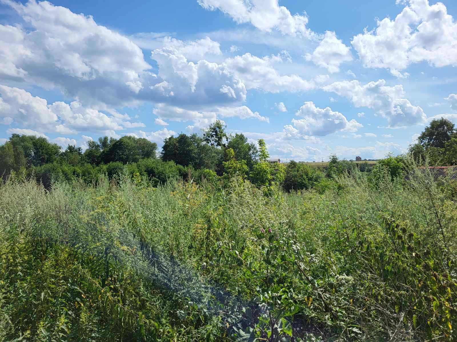 Продається земельна ділянка в Стрижавці