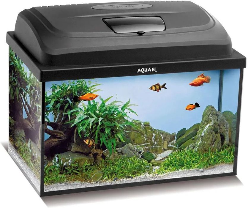 Aquael Zestaw25l 40x25x25 Sklep Altum Promocja