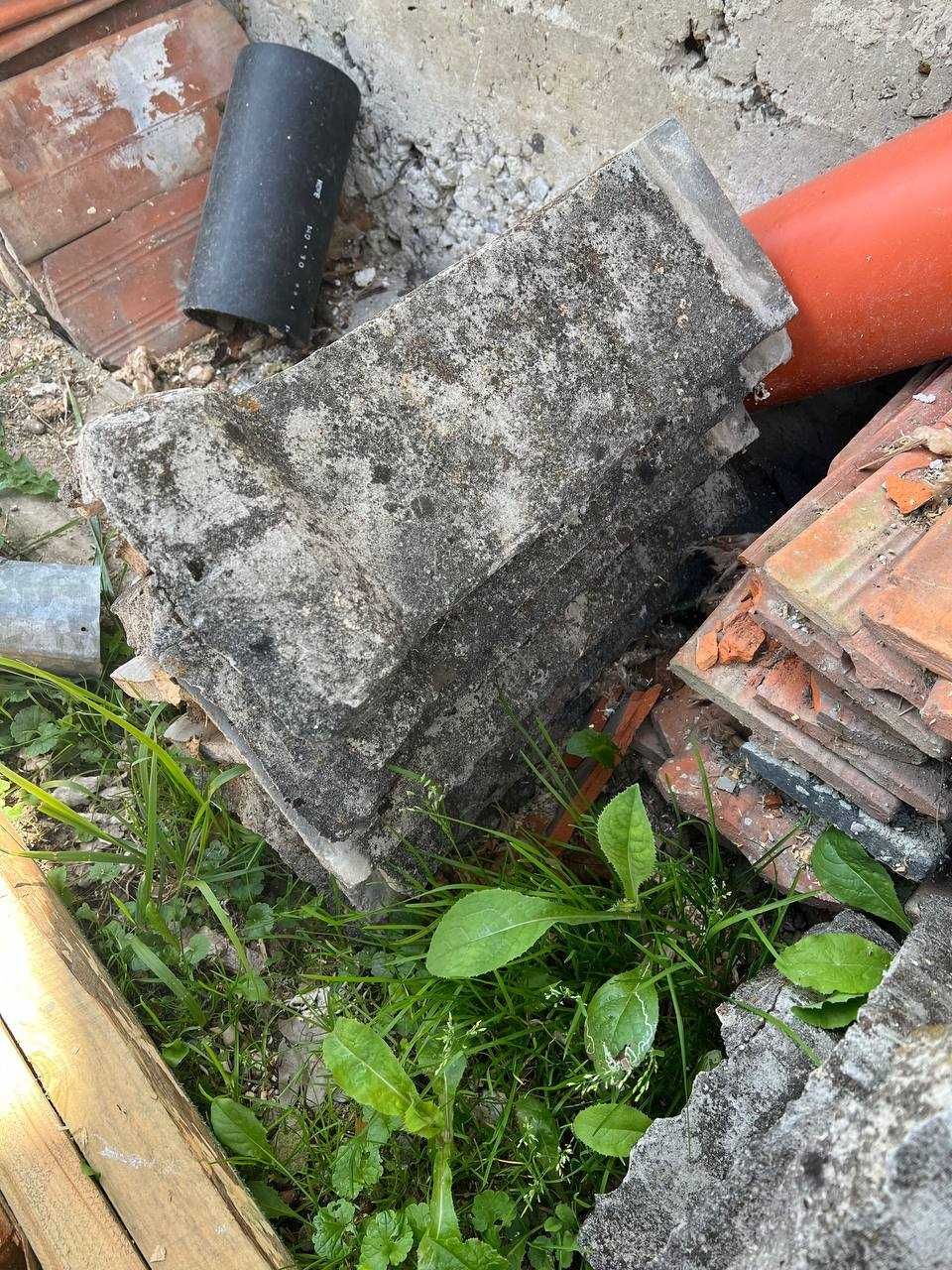 гусаки на дах продам