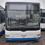 Autobus - MAN A66