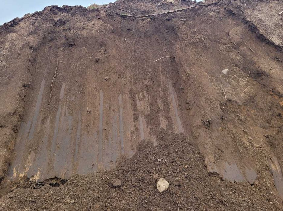 Sprzedam humus/ziemia nieprzesiana. Możliwy dowóz wywrotką. Brodnica.