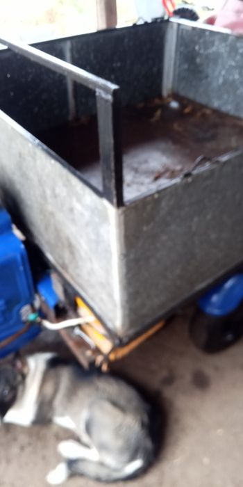 Продаи муравей вробочобустои