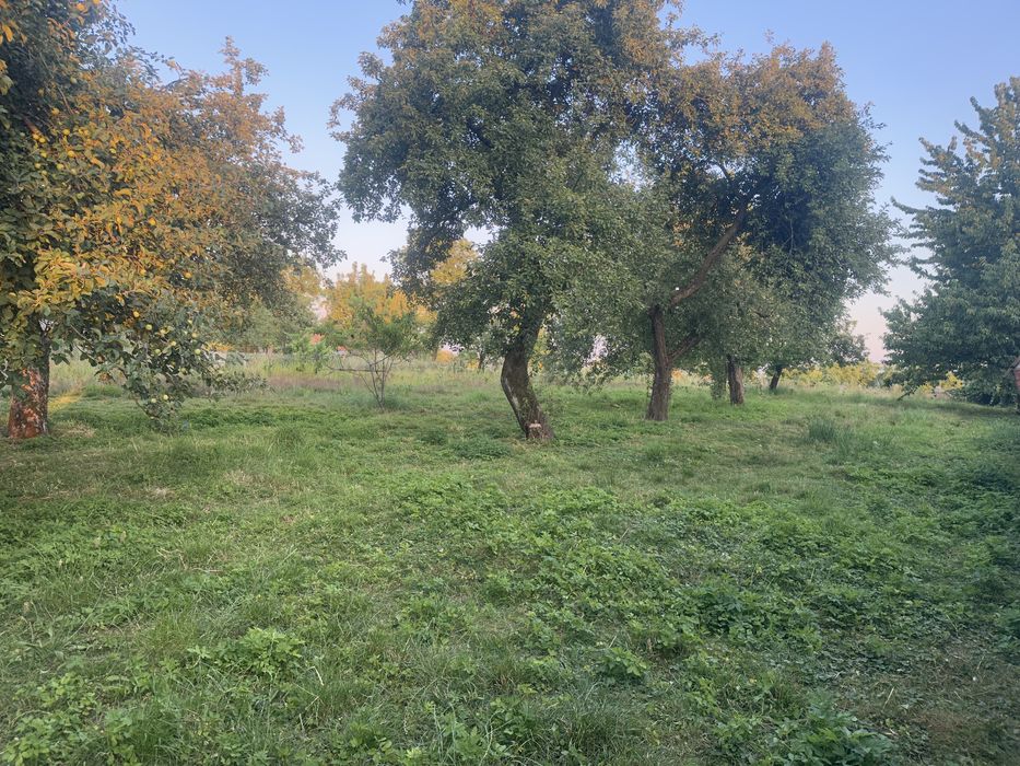 Будинок 100м/квд,та ділянка 25сот.