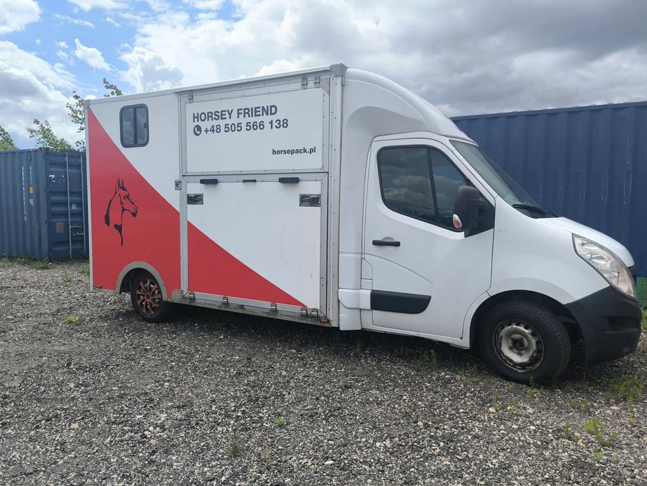 Renault Master  Renault Master Koniowóz, do przewozu koni, zwierząt