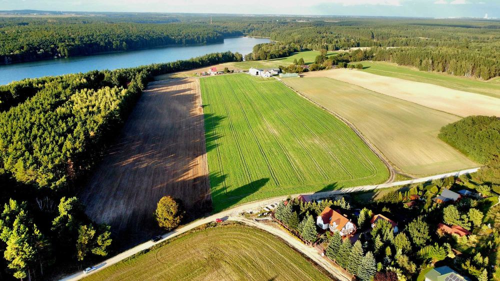 Działka ok. 1600 m² blisko lasu i jezior na Pałukach.