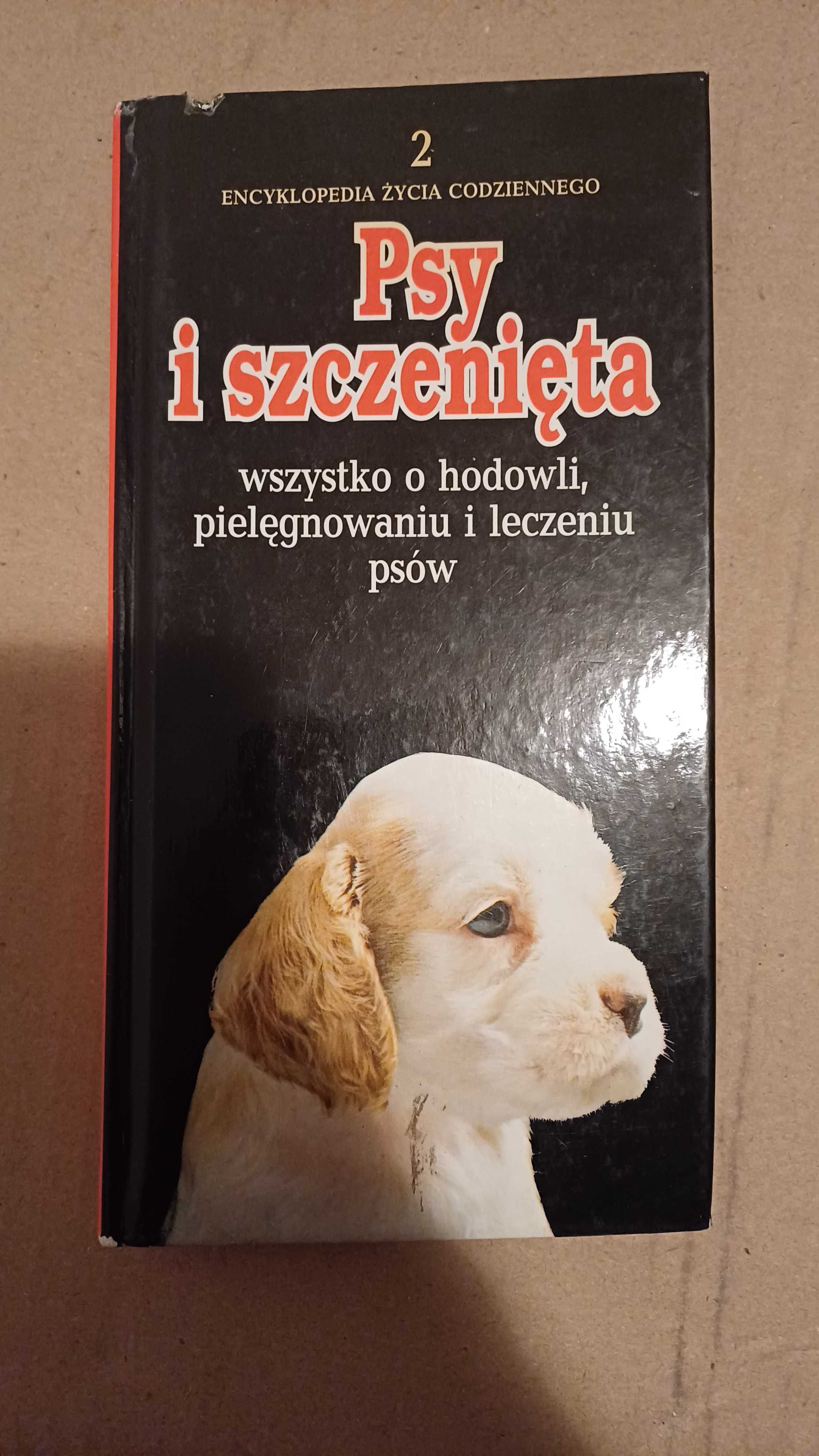 Książka - Psy i szczenięta, encyklopedia