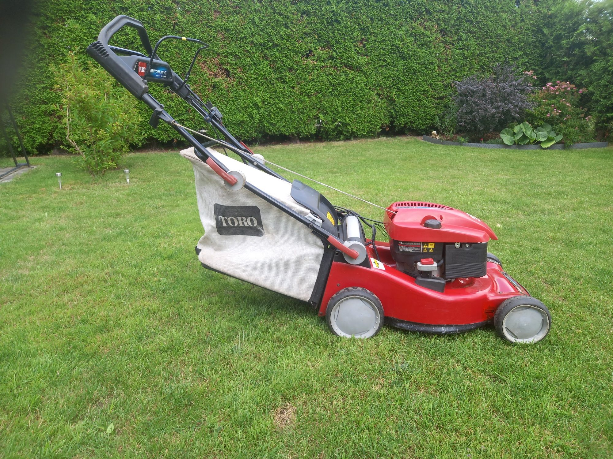 Kosiarka spalinowa  Honda 425 c
