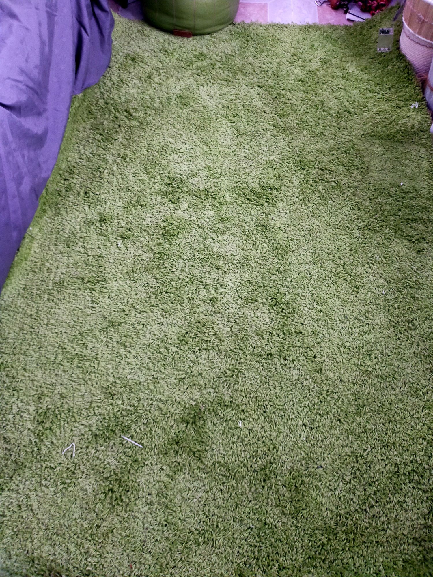 Carpete verde nova