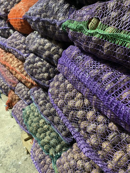 Закуповуємо грецький горіх ОПТ