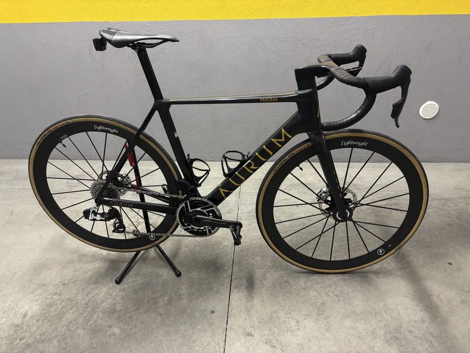 Bicicleta Aurum Magma V2