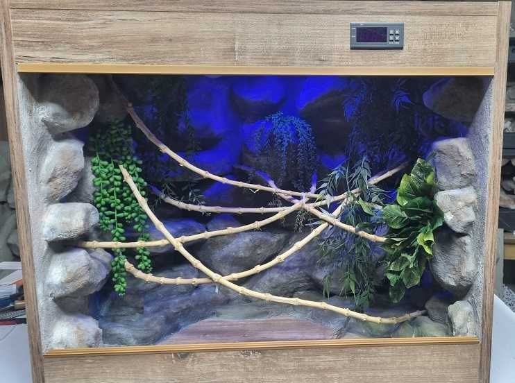 Gotowe terrarium  dla kameleona 70x40x60 drewno retro