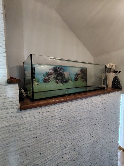 Akwarium 50x50x150