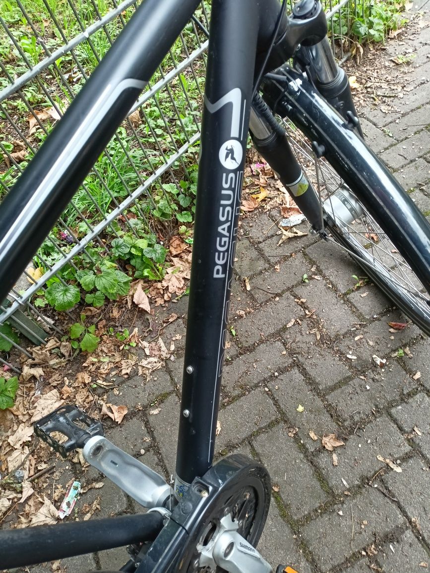 Rower męski Pegasus 28 Cali Rama 53